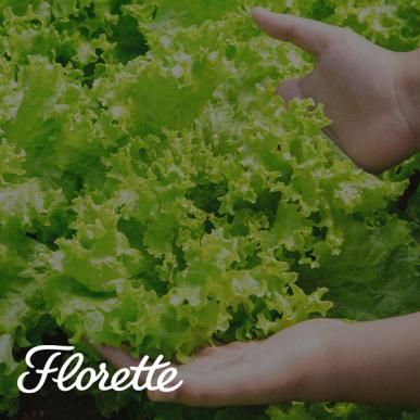 florette-modelo-de-prediccion